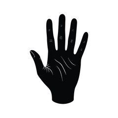 hand isolated on white