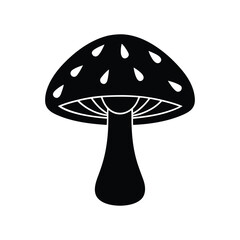 fly agaric mushroom