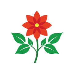 red flower isolated on white