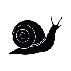 snail