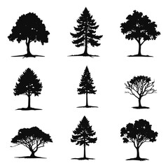 Fototapeta premium Tree and forest silhouettes vector illustration set with leaf, branch, pine, oak, palm, birch, and autumn wood icons for nature design collection
