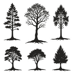 Obraz premium A diverse collection of tree silhouettes, vectors, and illustrations captures the essence of nature's changing seasons from vibrant spring growth to the stark beauty of bare winter branches