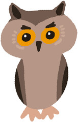 Cute Owl Illustration
