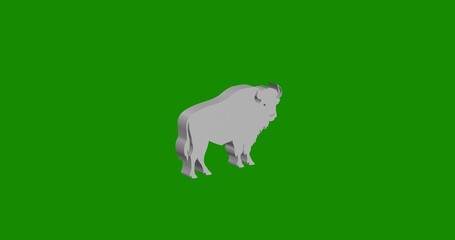 Isolated realistic white buffalo symbol front view with shadow. 3d illustration on green chroma key background