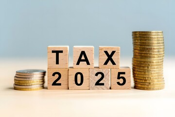 Prepare for the 2025 Tax Year Financial Planning Ahead