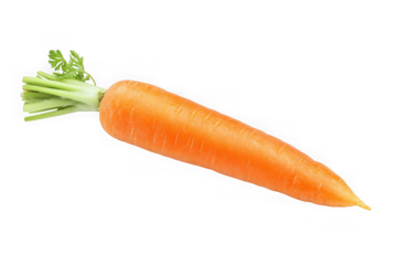 High resolution fresh carrot vegetable nutrition healthy food ingredient cooking isolated on transparent background