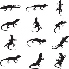 Collection of Lizard Silhouettes in Various Poses