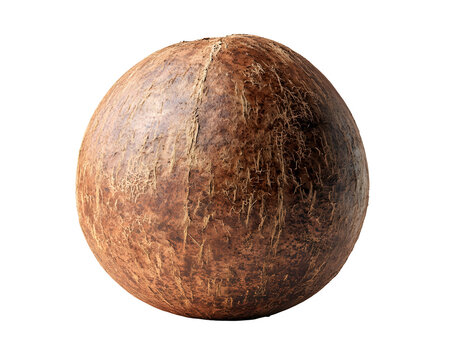 cocomelon isolated png