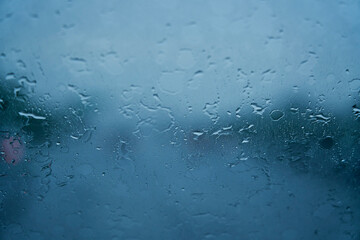 洗われた大地 - 潤いを纏い.走り出す鼓動