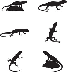 Collection of lizard silhouettes in various poses and on a rock silhouette