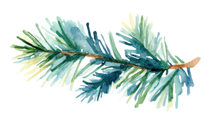 Watercolor Drawing of Fir Tree Branch Illustration Isolated on White Background
