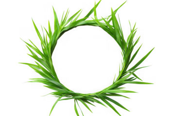 Green grass circle frame, floral wreath, plant border, nature element, spring decoration, botanical design, decorative ornament isolated on transparent background