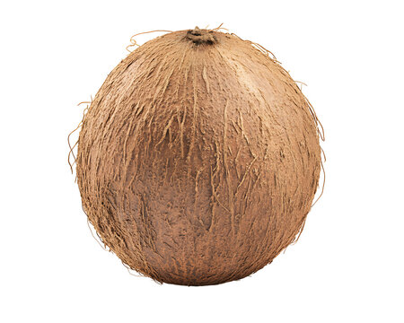 cocomelon isolated png