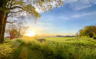 A breathtaking sunrise casts a warm and golden light over a vibrant green field, beautifully framed by tall trees