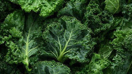 Freshly harvested vibrant green kale leaves create a visually appealing, nutrientrich texture