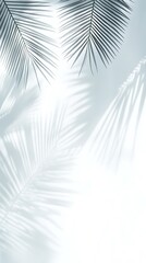 Fototapeta premium Pale palm leaves casting shadows on a soft white background create tropical feel
