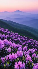 Obraz premium Pink rhododendron bloom on mountain ridge with sunset sky and blue distant mountain layers