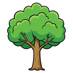 A detailed ash tree vector icon, illustrating its compound leaves and upright growth, suitable for environmental and botanical projects.