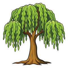 A detailed willow tree vector icon, showing its distinctive weeping branches, perfect for serene and natural landscape designs.