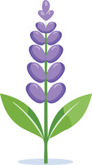 Vector Minimalist Lavender Plant with Stylized Floral Spike and Clean Botanical Design


