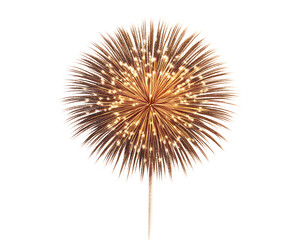 fireworks isolated png