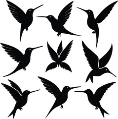 Fototapeta premium Hummingbird Silhouette Vector Art: Flying Bird Illustrations, Graphic Design Elements