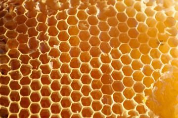 Honeycombs filled with golden honey form a perfect hexagonal pattern. This macro shot showcases the...
