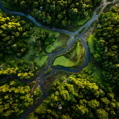 Serene Convergence: The Graceful Flow of a River Tributary Amidst Verdant Surroundings and Sunlit Harmony