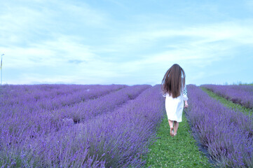 Woman walking barefoot through a lavender field, long hair flowing. Serene summer scene.