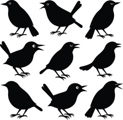 Black Bird Silhouettes: Vector Illustration of Singing Birds, Wildlife Graphic Design Elements