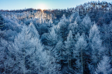 霧氷の山(20231223)