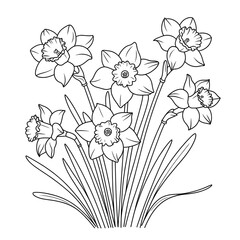 Illustration vector of a narcissus line art