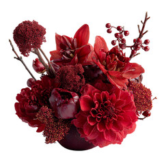 A striking red flower arrangement on transparent background