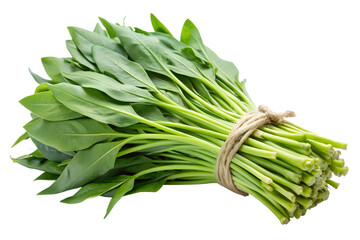 A fresh bunch of spinach isolated on transparent background