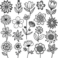 Black and White Flower Line Art Collection: Botanical Illustration Set, Floral Design Elements