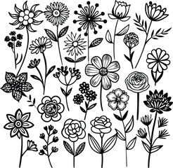 Black and White Flower Doodles: Hand Drawn Floral Vector Illustration, Botanical Art