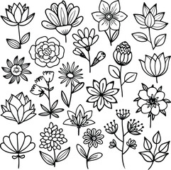 Black and White Flower Line Art Collection Floral Doodles Vector Botanical Illustration