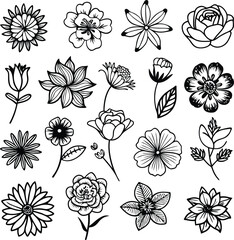 Black and White Flower Line Art Collection: Botanical Floral Vector Illustrations Set