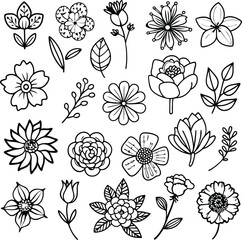 Flower Outline Vector Set: Floral Drawing, Botanical Illustration, Black and White Clipart