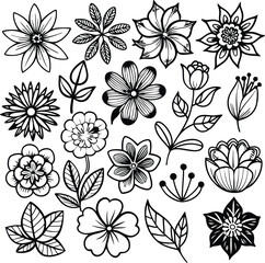 Black and White Flower Illustrations: Floral Vector Art, Botanical Line Drawings, Flower Clipart
