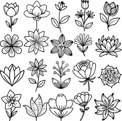 Floral Line Art: 20 Flower Illustrations, Botanical Outlines, Simple Black and White Drawings