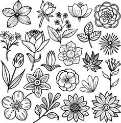 Floral Line Art Collection: Botanical Flower Illustrations, Vector Drawing, Hand Drawn Style