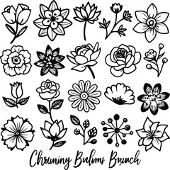 Black and White Flower Doodle Set: Floral Vector Art, Botanical Line Drawings, Spring Blossom Clipart
