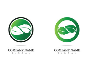 Tree leaf vector logo design, eco-friendly concept.