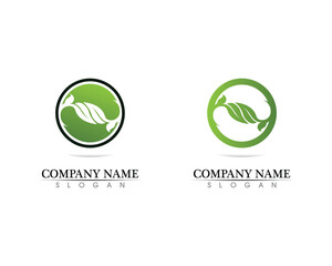 Tree leaf vector logo design, eco-friendly concept.