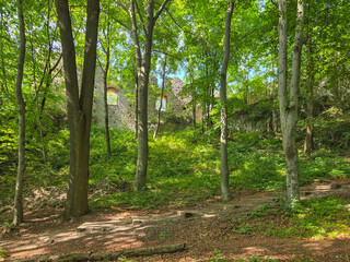 Castle ruins in Smolen, Poland.