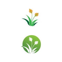 Vector Lotus Flower Sign for Wellness, Spa and Yoga design