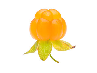 Single ripe cloudberry isolated on white background, showcasing its vibrant orange color and unique segmented structure, perfect for illustrating Scandinavian nature or healthy eating concepts.
