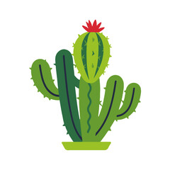 Stylized Green Cactus Illustration with Red Flower-Desert Plant Art-Modern Cactus Graphic for Home Decor-Southwestern Style Design Element-Isolated Cactus Image