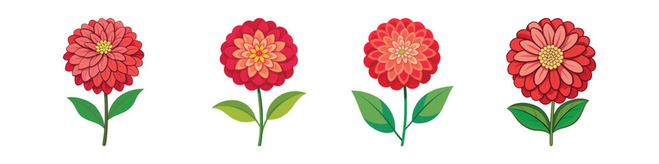 Zinnia Flower Flat Style Botanical Vector Illustration